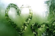 蒙牛ESG光环褪色：榜单游戏与可持续发展虚实