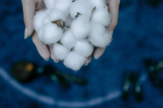 深度解析趋势债：机遇与风险并存的债券投资